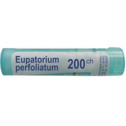 Boiron Eupatorium P Boi...