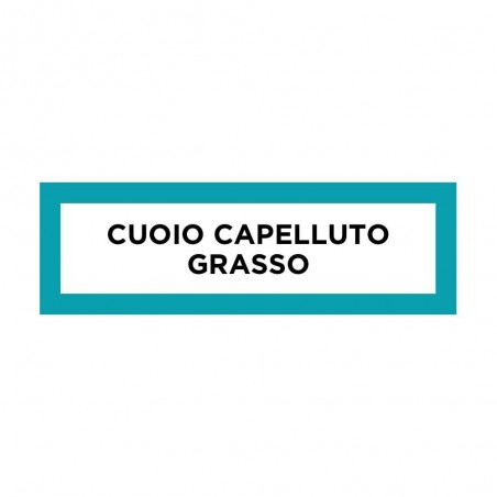 Phytopanama Shampoo 250 Ml