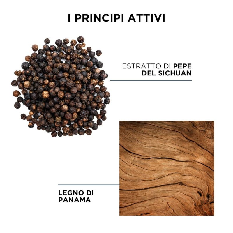 Phytopanama Shampoo 250 Ml