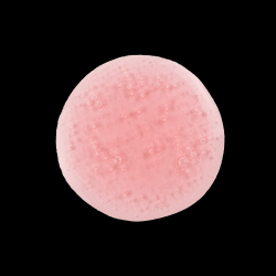 Klorane Shampoo Melograno 200 Ml