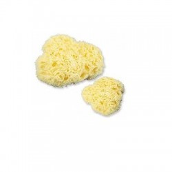 Farmac-zabban Spugna...