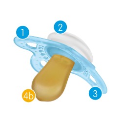 Bamed Baby Italia Mam Original 2-6m Caucciu' Confezione Doppia Femmina