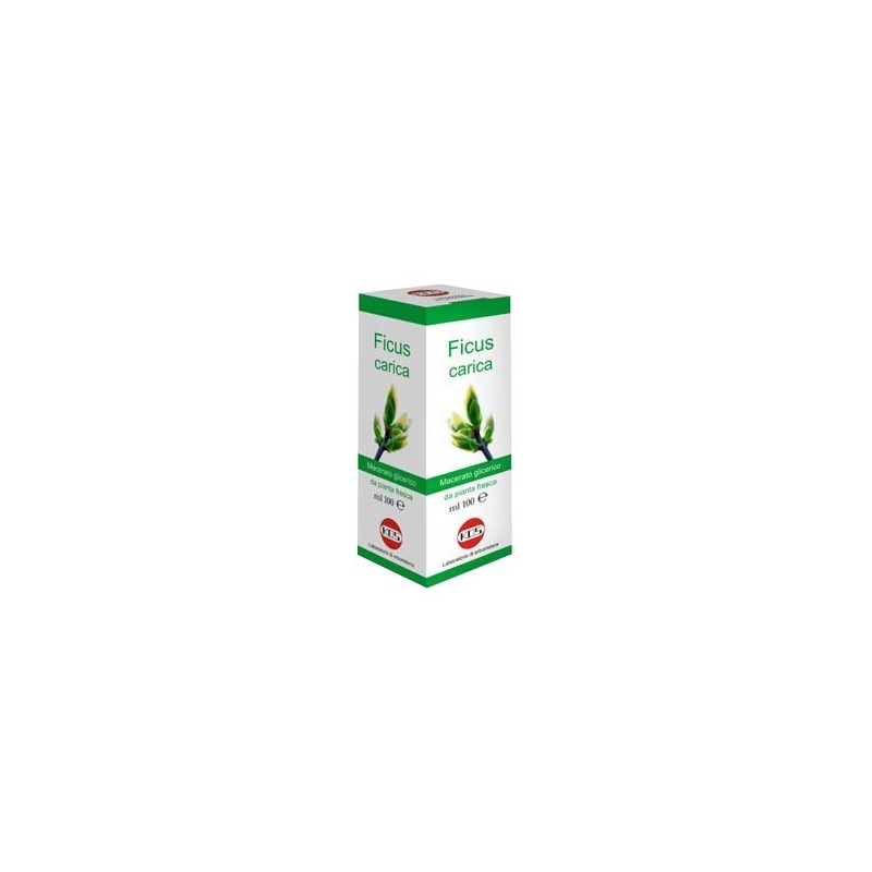 Kos Ficus Carica Macerato Glicerico 100 Ml