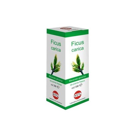 Kos Ficus Carica Macerato Glicerico 100 Ml