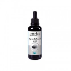 Giuriati Group Argento...