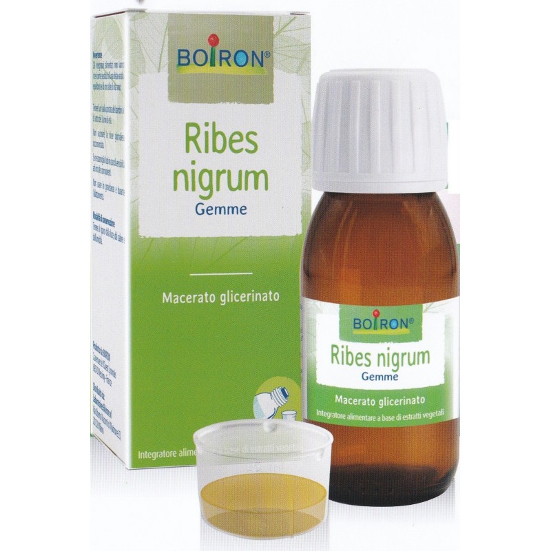 Ribes Nigrum Boiron Macerato Glicerico 60 Ml
