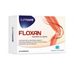 Giuriati Group Supravit...