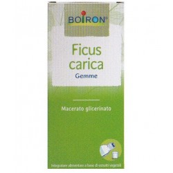 Ficus Carica Boiron...