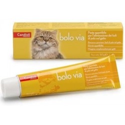 Candioli Ist. Profil. E...