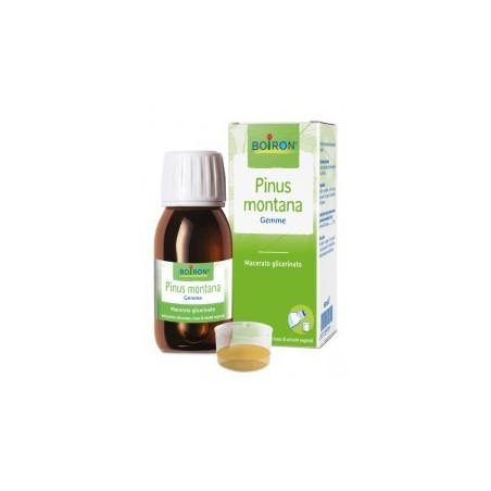 Pinus Montana Boiron Macerato Glicerico 60 Ml