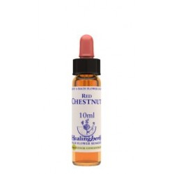 Natur Red Chestnut Essenza...