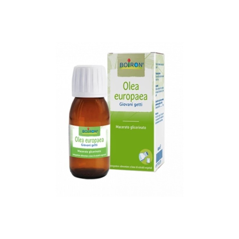 Olea Europaea Boiron Macerato Glicerico 60 Ml