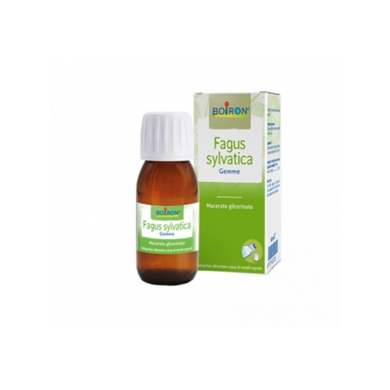 Fagus Sylvatica Boiron Macerato Glicerico 60 Ml