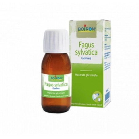 Fagus Sylvatica Boiron Macerato Glicerico 60 Ml