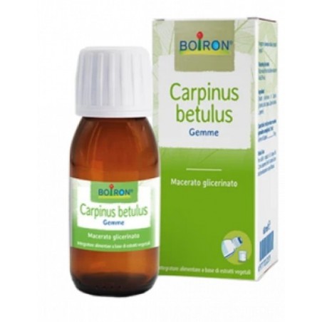 Carpinus Bet Boiron Macerato Glicerico 60 Ml