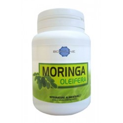 Bodyline Moringa Oleifera...