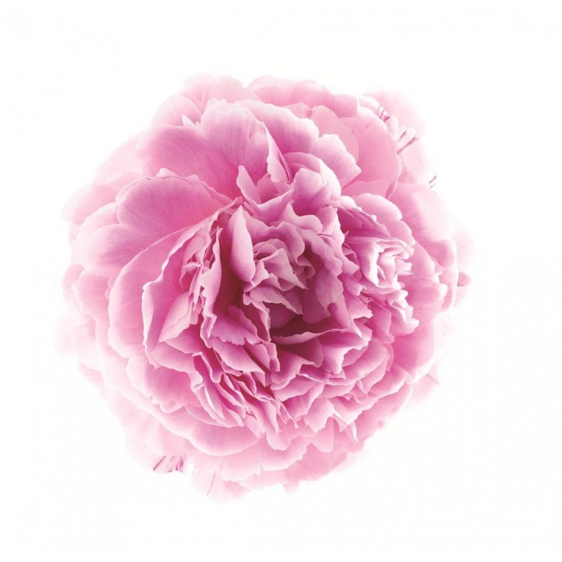 Klorane Latte Idratante Nebulizzato Alla Peonia 200 Ml