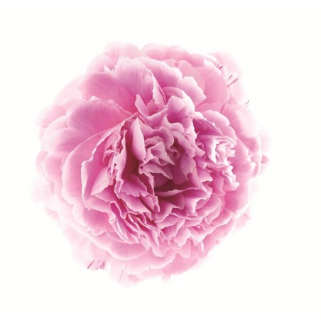 Klorane Latte Idratante Nebulizzato Alla Peonia 200 Ml