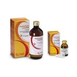 Candioli Ist. Profil. E...