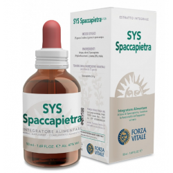 Forza Vitale Italia Sys...