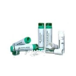 Tesla Di Dr. Zucchi & C....