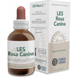 Forza Vitale Italia Les...