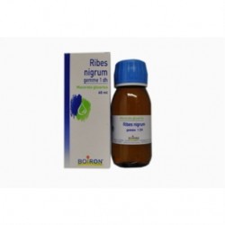 RIBES NIGRUM GEMME 60ML MG