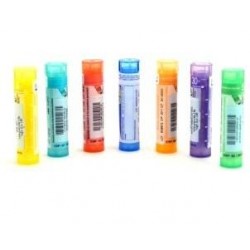 Laboratorio Sodini Epsilon...