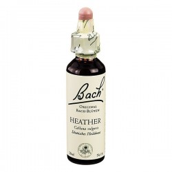 Schwabe Pharma Italia...