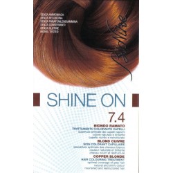 I. C. I. M. Internation...