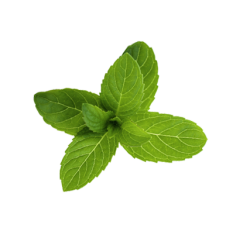 Klorane Maschera Stick Purificante Menta Acquatica 25 G