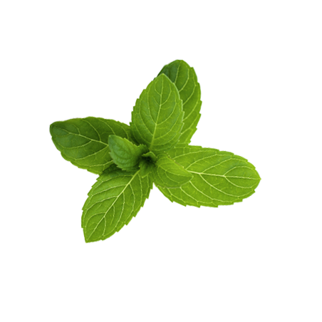 Klorane Maschera Stick Purificante Menta Acquatica 25 G