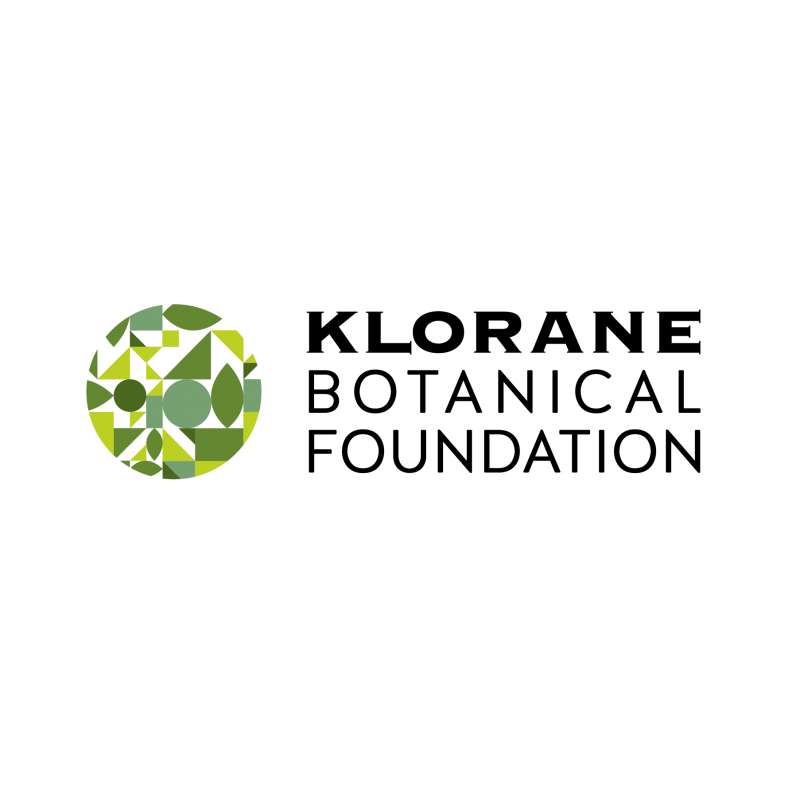 Klorane Maschera Stick Purificante Menta Acquatica 25 G