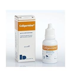 Bruschettini Coligermina Sospensione Gastrofunzionale Gocce 20 Ml