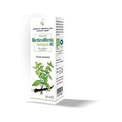 Caira Laboratorio...