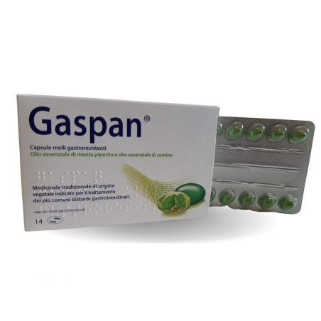 Dr. Willmar Schwabe Gmbh&co. Kg Gaspan Capsule Molli Gastroresistenti Olio Essenziale Di Menta Piperita E Olio Essenziale Di Cum