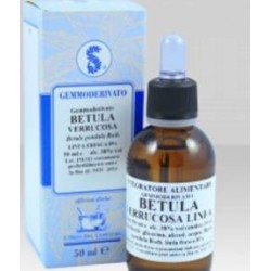 Sarandrea Marco &c. Betula...