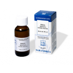 Sarandrea Marco &c. Pinus...