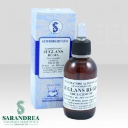 Sarandrea Marco &c. Juglans...