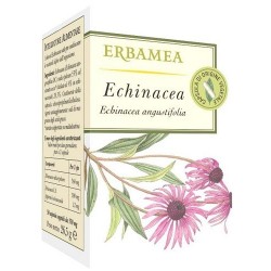 Erbamea Echinacea 50...
