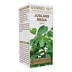 Dr. Giorgini Ser-vis Gemmo...