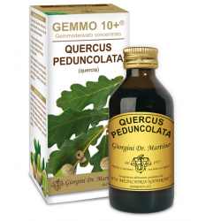 Dr. Giorgini Ser-vis Gemmo...