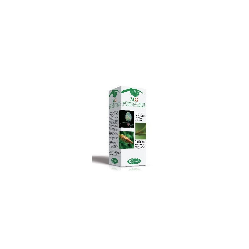 Sangalli Betula Verrucosa Macerato Glicerico 100 Ml