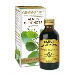 Dr. Giorgini Ser-vis Gemmo...