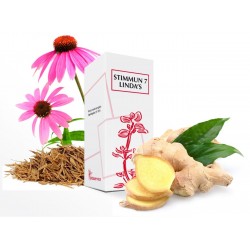 Lindaservice Lindas Stimmun...