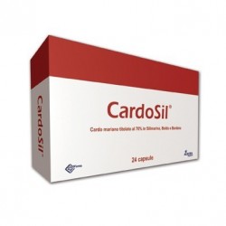 Ddfarma Cardosil 24 Capsule