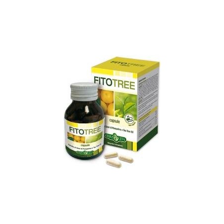Erba Vita Group Fitotree 60 Capsule
