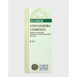 Forza Vitale Italia Ecosol...