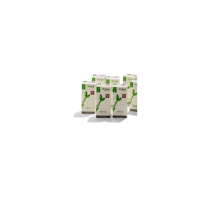 Fitomedical Gelso Nero Macerato Glicerinato Bio 100 Ml