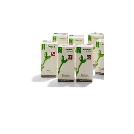 Fitomedical Gelso Nero Macerato Glicerinato Bio 100 Ml